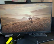 Monitor