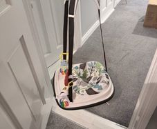 Baby Bouncer