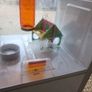 Bedside locker hamster cage Image 10