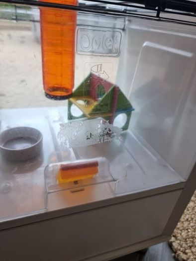 Bedside locker hamster cage