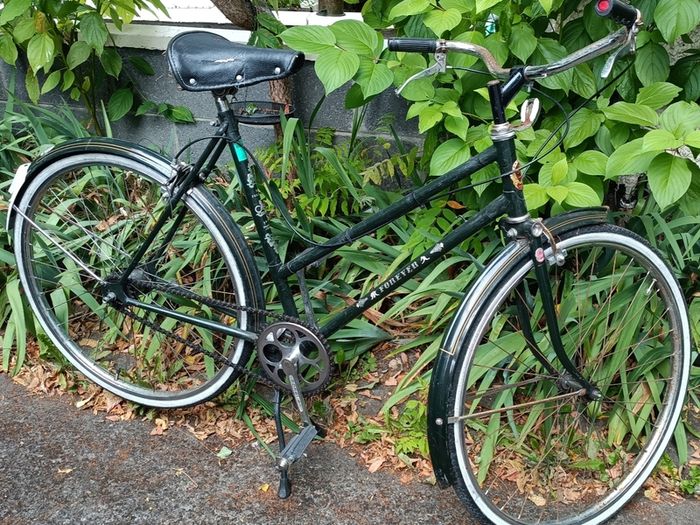 Ladies bike