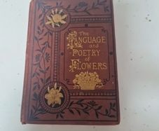 language of poetry of flowers antique book