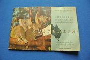 Australia - The Commonwealth Series - 1958-  - Australia In Forty-eight Full Natural Cards (lyons Tea)