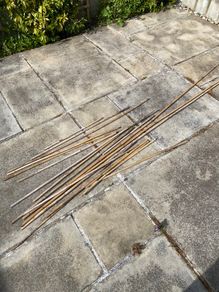 20 x garden bamboo canes