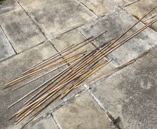 20 x garden bamboo canes