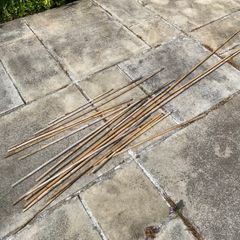 20 x garden bamboo canes