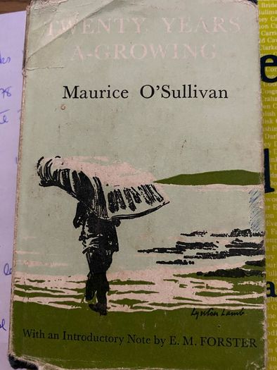 Ireland related books