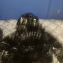 Trapstar Black Shiny Puffer Jacket great condition Image 4