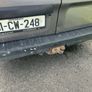 Renault Trafic Image 6