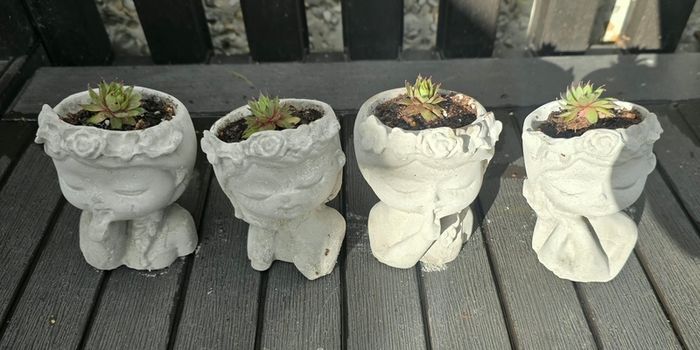 small handmade flower pots with real plants