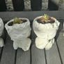 small handmade flower pots with real plants Image 2