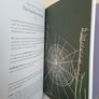 Naturama: Open Your Eyes to the Wonders of Irish Nature by Michael Fewer and Melissa Doran (PT164) Image 6
