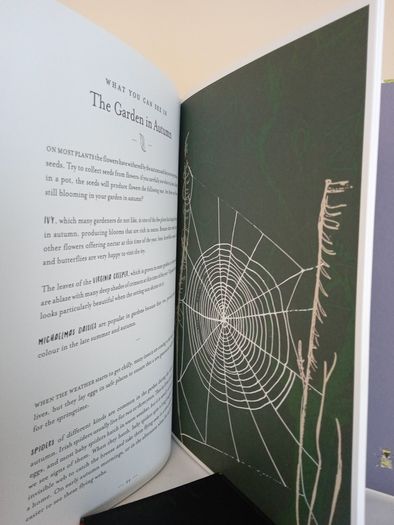 Naturama: Open Your Eyes to the Wonders of Irish Nature by Michael Fewer and Melissa Doran (PT164)