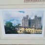 Bunratty Castle Image 6