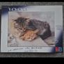 Puzzles new 25 euro for all Image 2