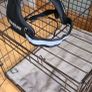 Dog Crate Image 2