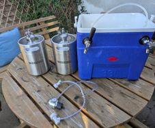 2 x 5L portable Mini Kegs