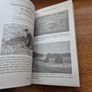 Footprints and the Stones of Time. Dr Carl Baugh Dr Clifford Wilson. Archaeology. Dinosaurs. Image 7