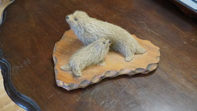 Vintage Faux Seal Pair Figure on Wooden Base