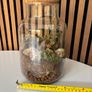 Terrarium - Glass Jar with Cork Lid Image 5