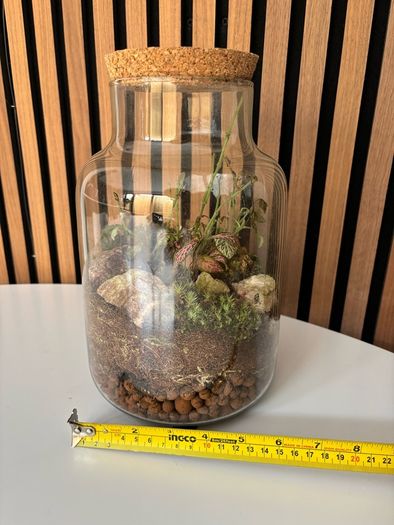 Terrarium - Glass Jar with Cork Lid