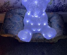 LED Bear light
