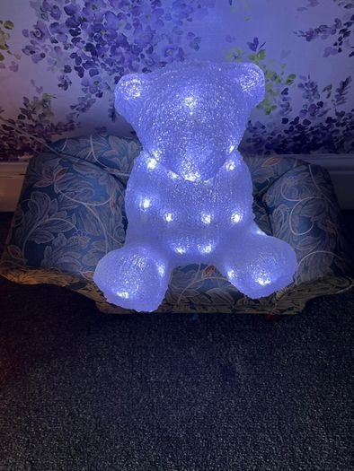 LED Bear light