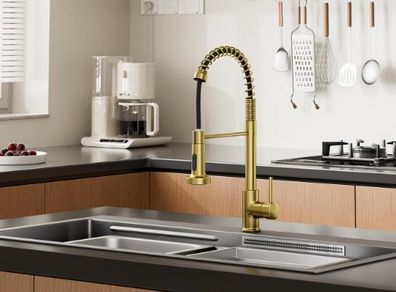 Gold Kitchen Mixer Tap with Pull-Out Spray, 2-Function Spring Faucet, 360 Swivel High-Arc Design, Hot & Cold Water