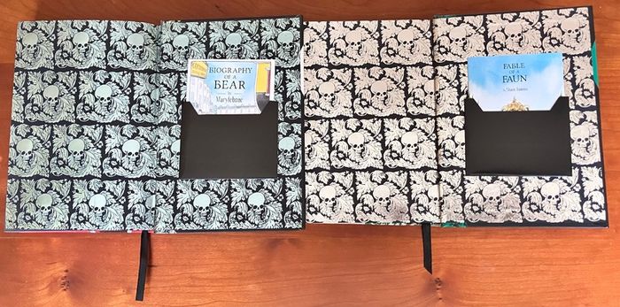 Two Goth Girl Books by Chris Riddell