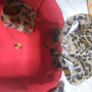 red fleece coat Image 2