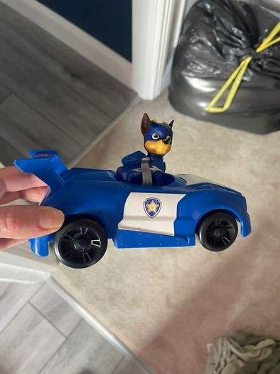paw patrol