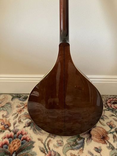 Irish Bouzouki