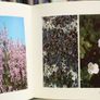 The Wild Boglands Image 2