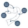 Dreamgenii Pregnancy Pillow Image 2