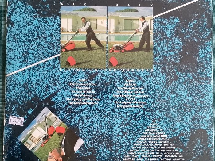 Niki Daly - Living In The Suburbs Vinyl LP (1984) South African 1st Pressing New Wave Art Rock VG+