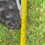 Girls bike 20" Image 6