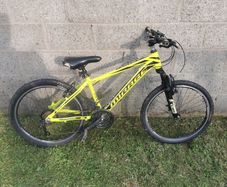 Teenager Mountain Bike