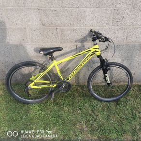 Teenager Mountain Bike