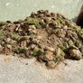 Free topsoil Image 2
