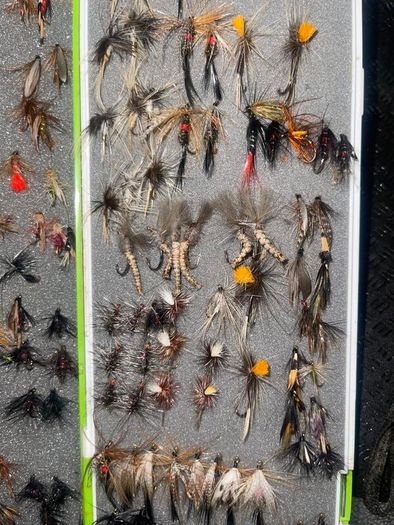 Fly Collection
