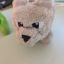 Pokemon, Ghostbusters and Minecraft Plush, Plushies Eevee, Charmander Image 5