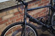 carrera mtb mountain bike