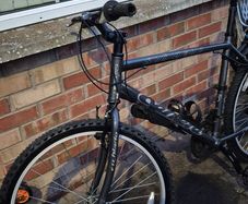 carrera mtb mountain bike