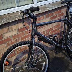 carrera mtb mountain bike