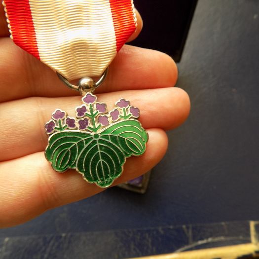 Japanese Order of The Rising Sun.Est 1875.Silver and enamel.In case of issue.