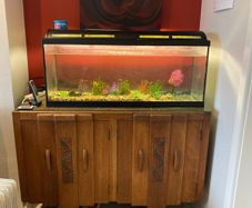 Fish tank