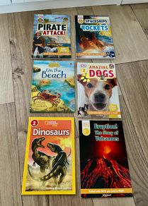Early reader books level 2