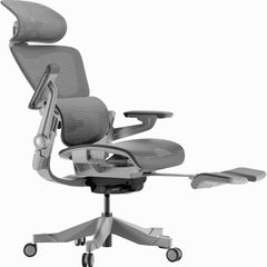Hinomi H1 Pro Ergonomic Office Chair