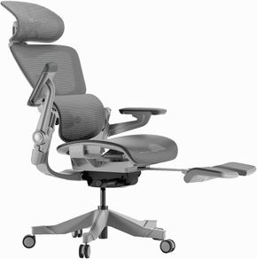 Hinomi H1 Pro Ergonomic Office Chair