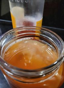 kombucha scoby & Starter Tea